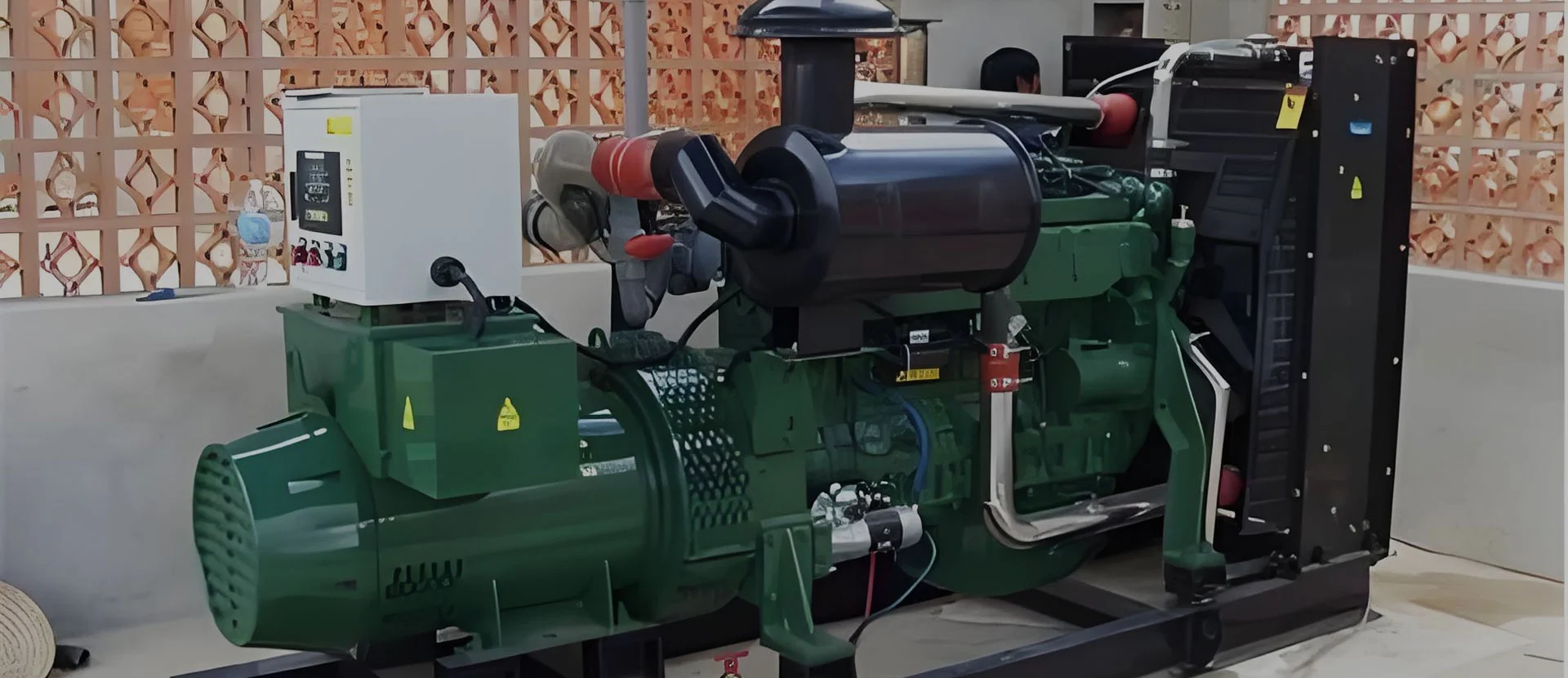 Biogas -Generatorhersteller