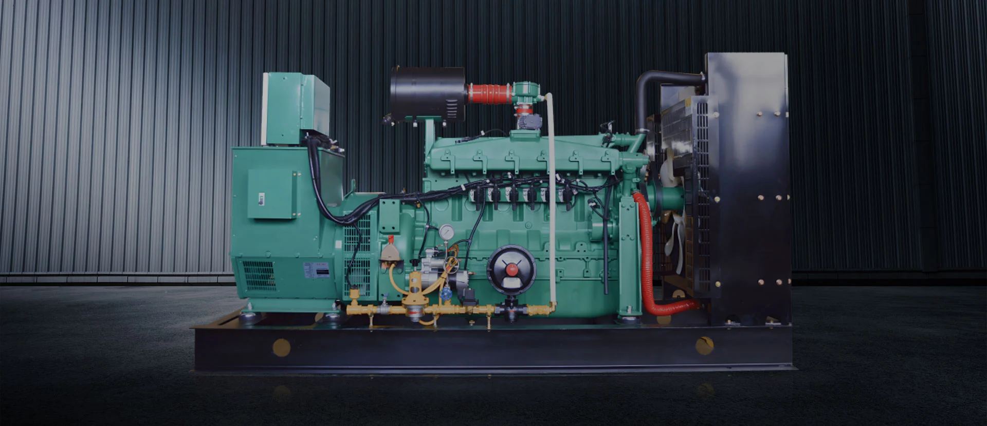 Lieferant von China Gasgenerator